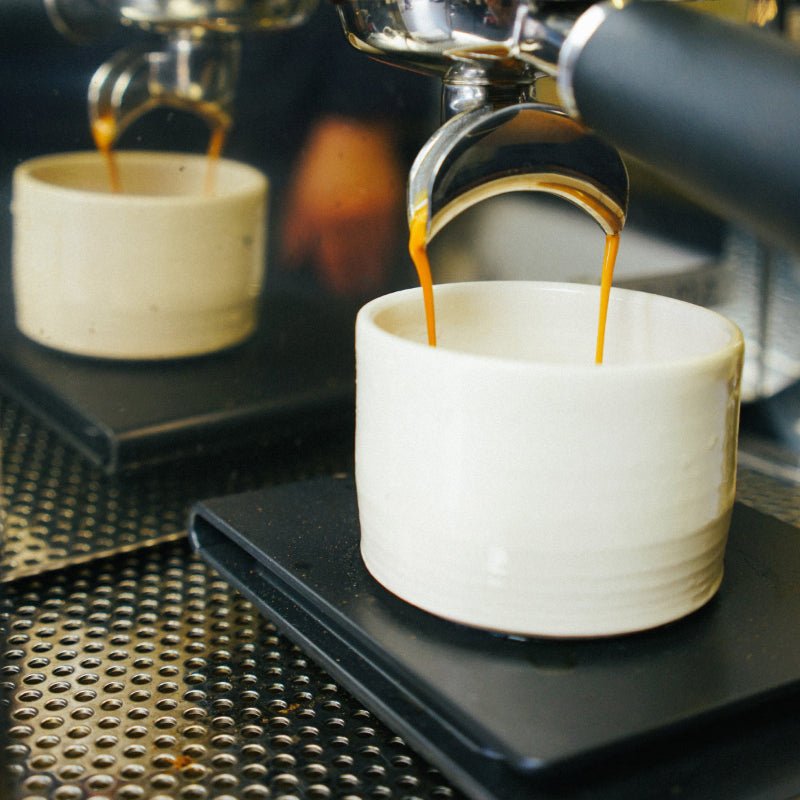 Gold Rush Coffee | Honey, Caramel, Wafer | 250g - Cool Dad Coffee Club