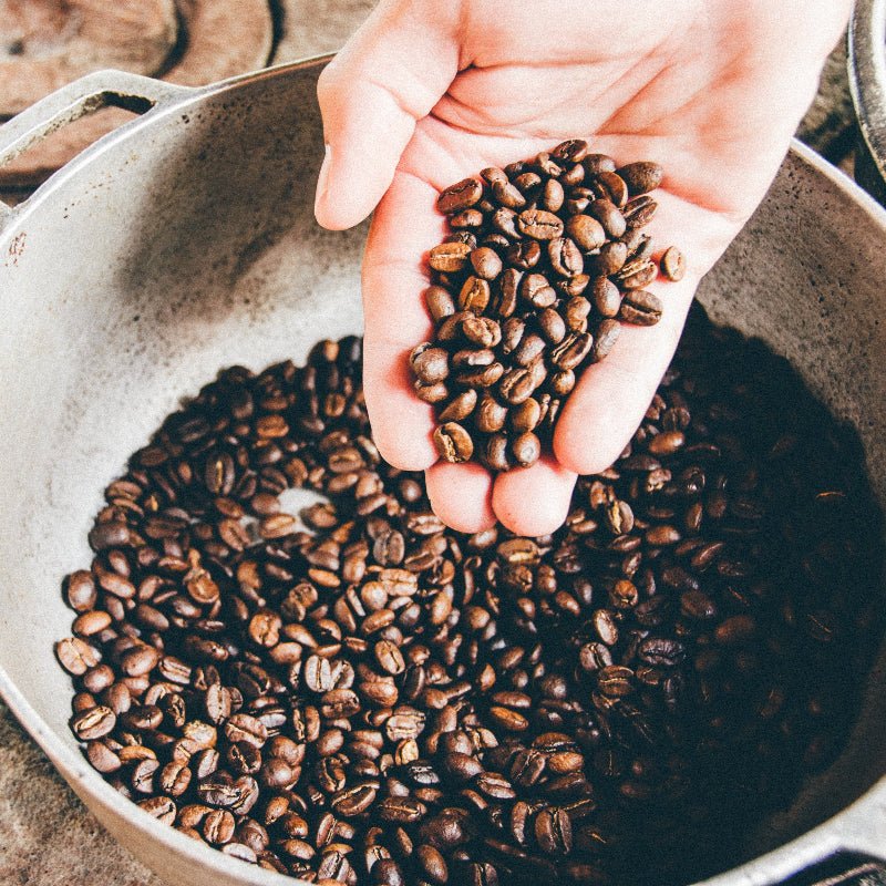 Gold Rush Coffee | Honey, Caramel, Wafer | 250g - Cool Dad Coffee Club